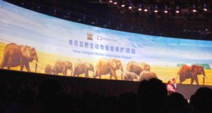 Elephants, Wildlife