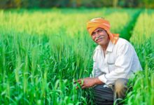India, Indian Languages, Microsoft Translator, Farmer