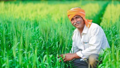India, Indian Languages, Microsoft Translator, Farmer