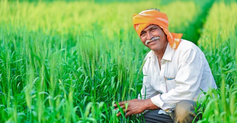 famrut, farmer, agriculture, India, Indian Languages, Microsoft Translator, Farmer