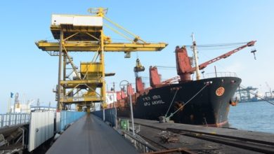 V. O. Chidambaranar Port Trust, shippingg