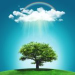 green data center, sustainability, environment, climate change, IBM LinuxONE