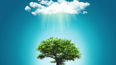 sustainability, environment, climate change