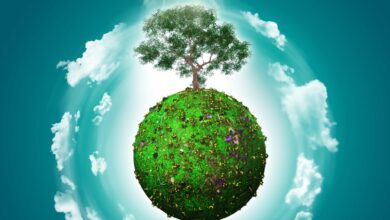SASB Standards, ESG, Sustainability, Environment
